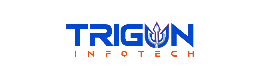 Trigun Infotech Logo